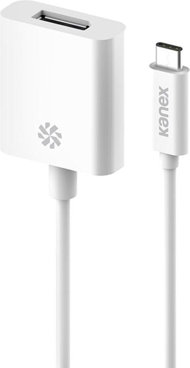 Actual product image Kanex USB-C to (DP, 20 cm)