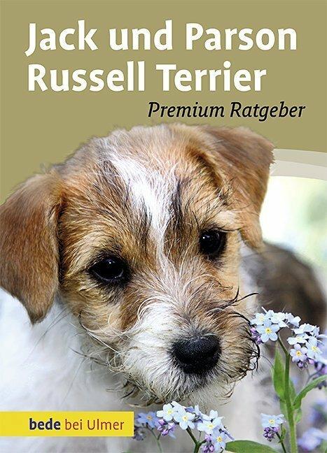 Actual product image Jack und Parson Russell Terrier (German, Annette Schmitt, 2010)