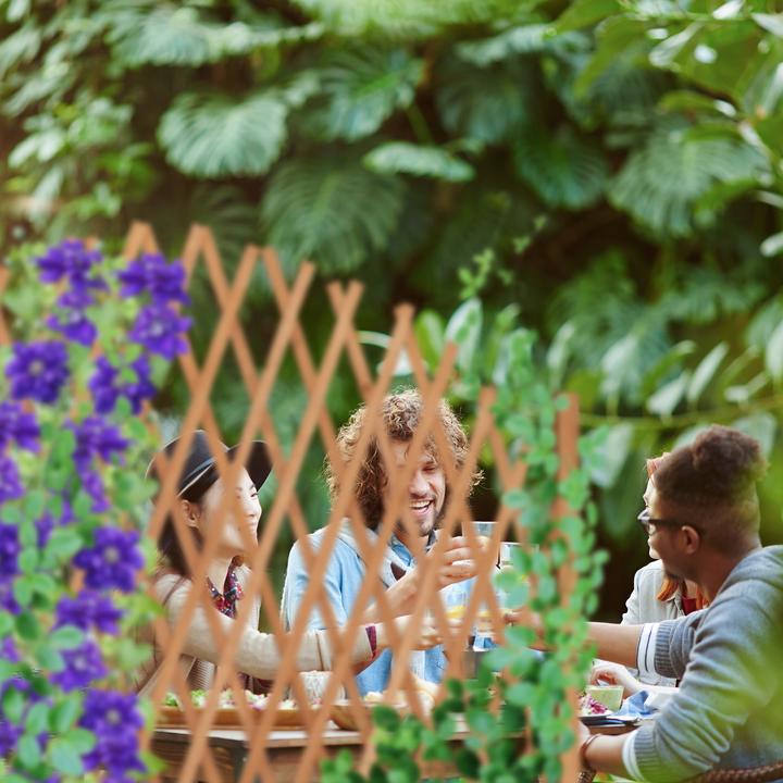 Actual product image Relaxdays trellis (30 cm, 165 cm)