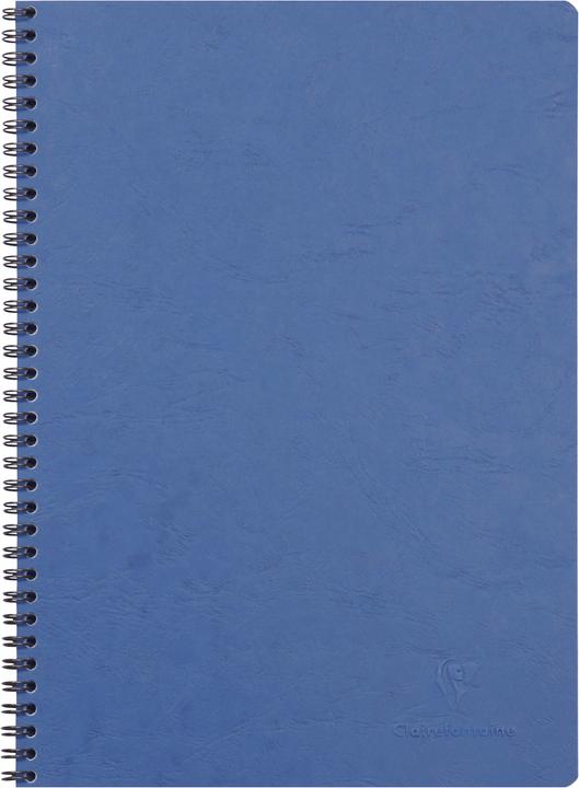 Immagine prodotto Clairefontaine borsa dell'età (AAA392, Rigatura speciale, Copertina rigida)