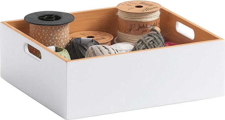 Immagine prodotto Zeller Present Scatole multiuso (30 x 27 x 10,5 cm, 5 l)