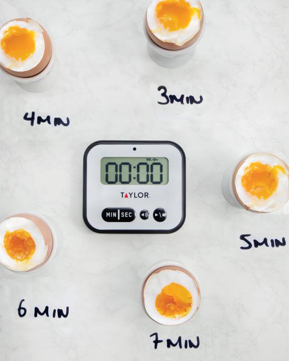 Actual product image Taylor's Taylor Pro Super Loud Digital 100 Minute Timer with Light Alert, Blister Packed