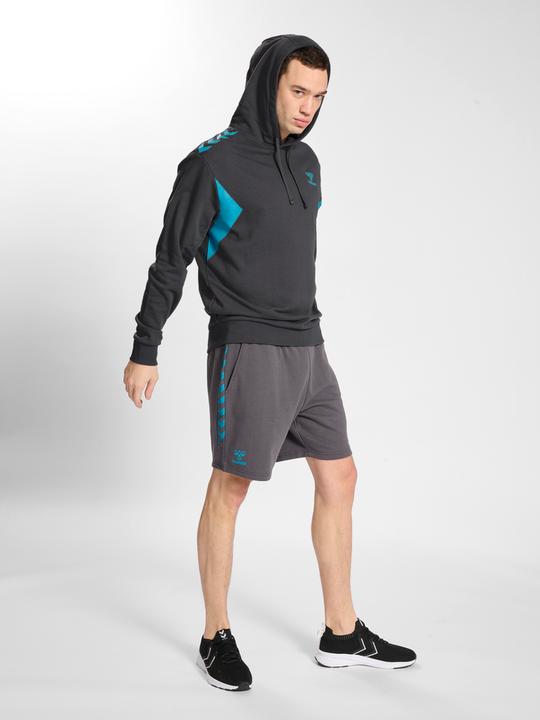Image du produit hummel Hmlstaltic Cotton Hoodie (L)
