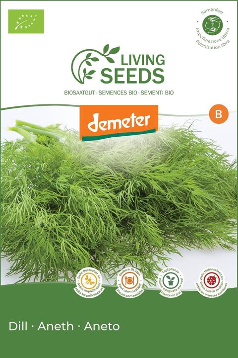 Living Seeds Aneth (Graines d'herbes aromatiques)