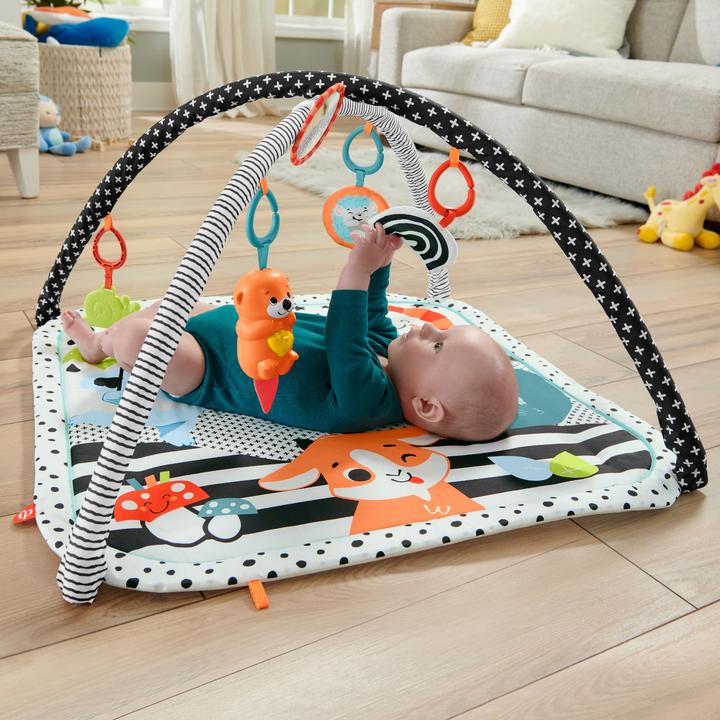 Immagine prodotto Fisher-Price Mario Kart Toad pressofuso