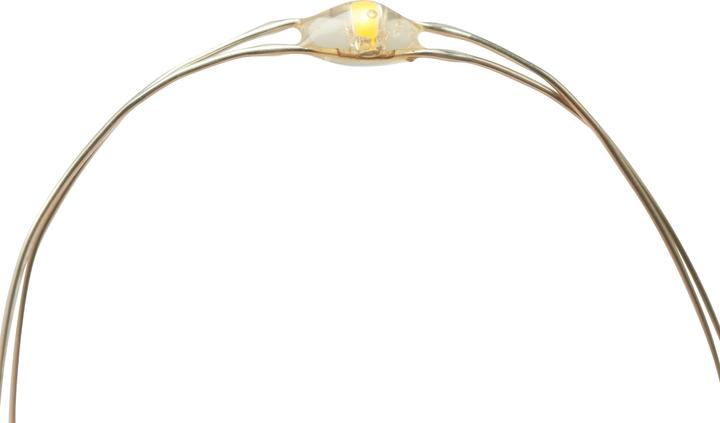 Produktbild VBS Outdoor Micro-LED-Lichterkette, mit Fernbedienung, 50 LEDs (5 m)