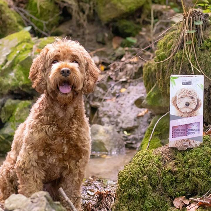 Produktbild Greenfields Haustier-Shampoo (Hund, 270 ml)
