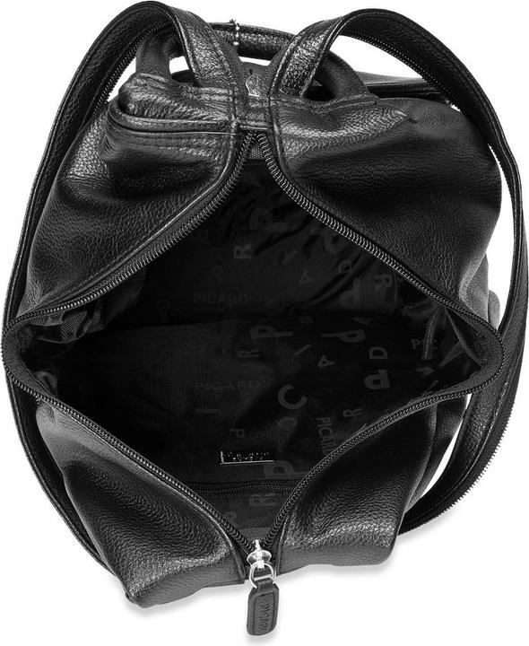 Actual product image Picard Luis (10 l)