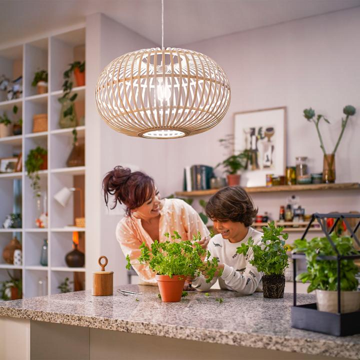 Immagine prodotto Philips LED classico (E14, 2.30 W, 485 lm, 1 x, A)