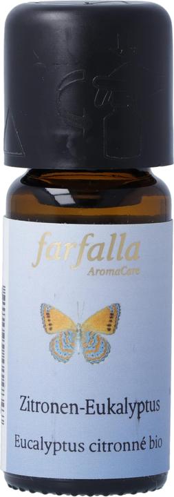 Farfalla Eucalyptus citronné