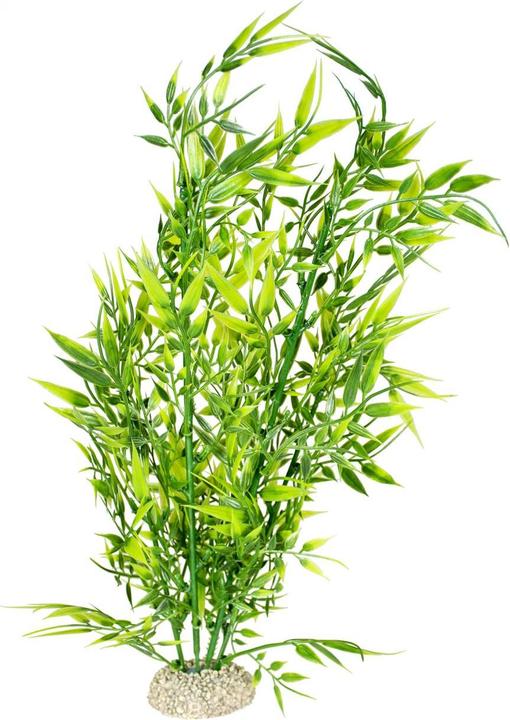 Produktbild EBI Aqua Della Bamboo (Pflanzen, sonstige Gegenstände)