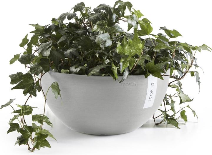 Actual product image Ecopots Brussels (25 cm)