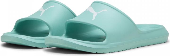 Image du produit Puma Divecat v2 Lite Cat (37)