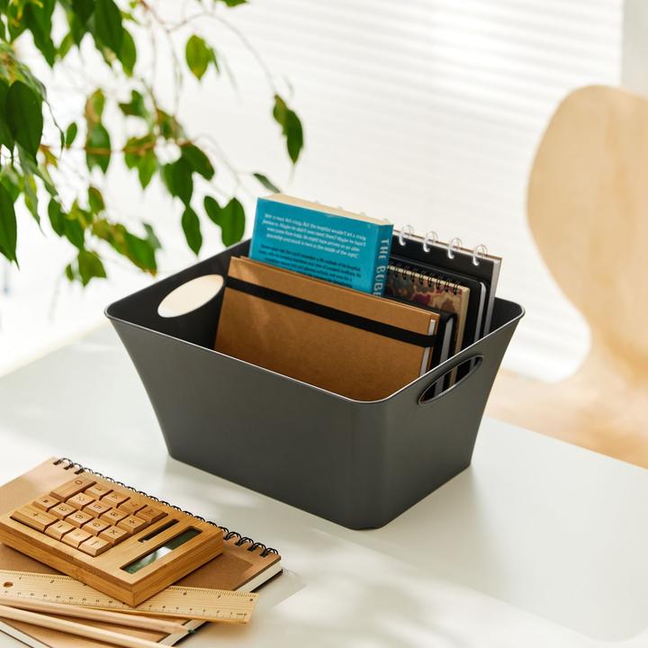 Actual product image Rotho Livingbox (21.6 x 13.5 x 29.5 cm, 5 l)
