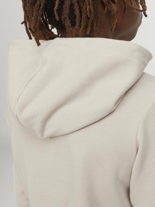 Image du produit Jack & Jones Sweat à capuche garçon (152)