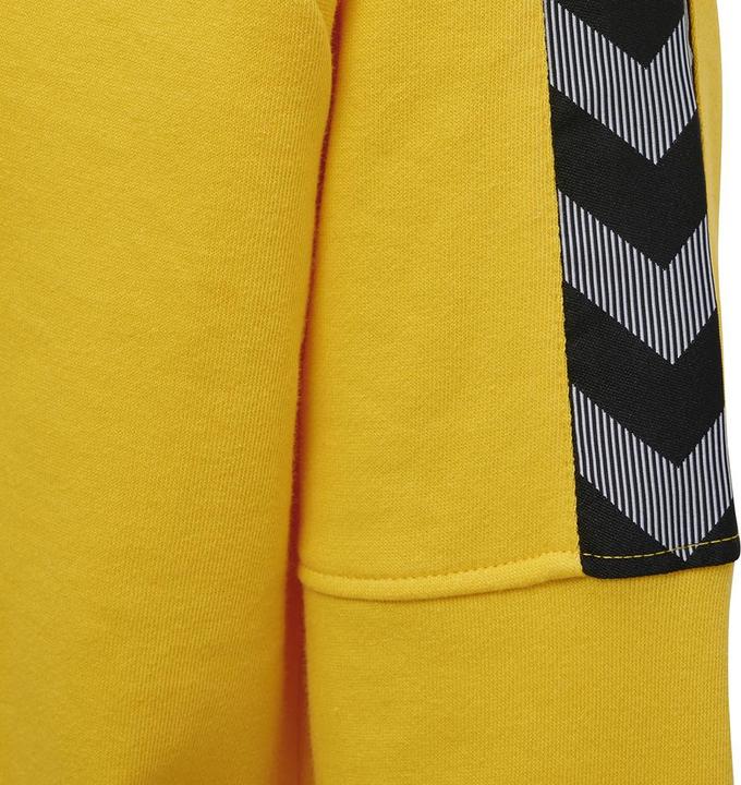 Actual product image hummel Authentic Kids Training Sweat (152)