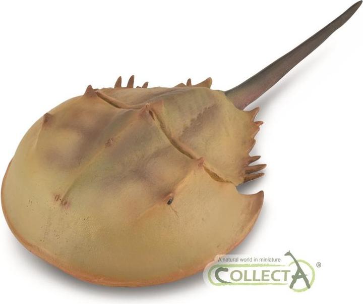 Produktbild Collecta Figur Pfeilschwanzkrebs XL Figur