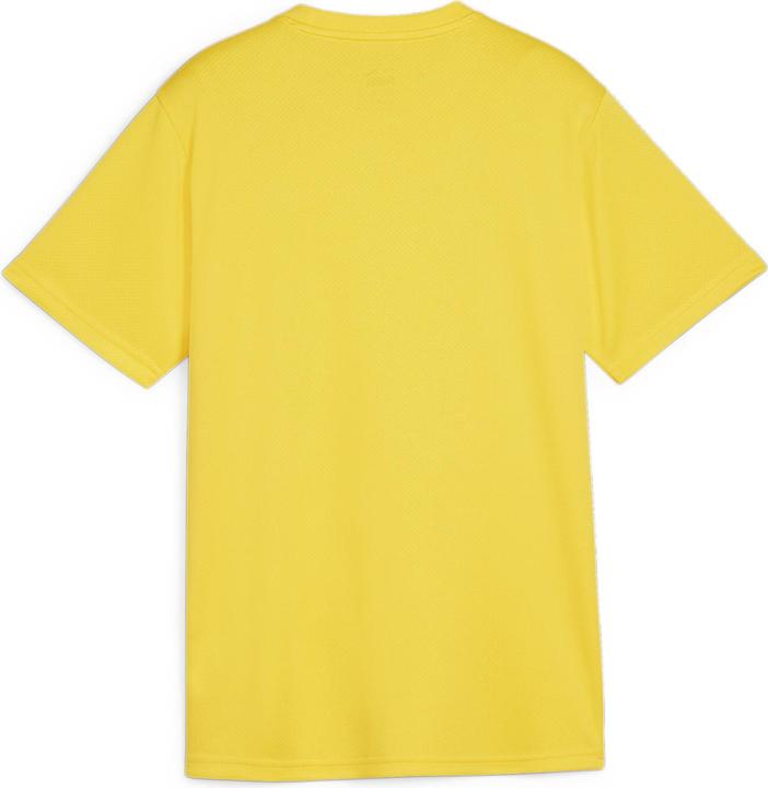Actual product image Puma teamGOAL Jersey Jr (164)