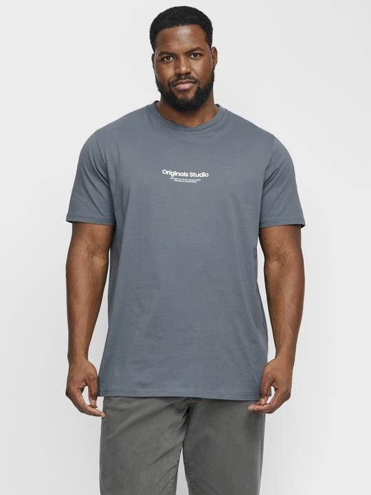 Produktbild Jack & Jones Jorvesterbro Tee Ss Crew Neck Noos Pls (6XL)