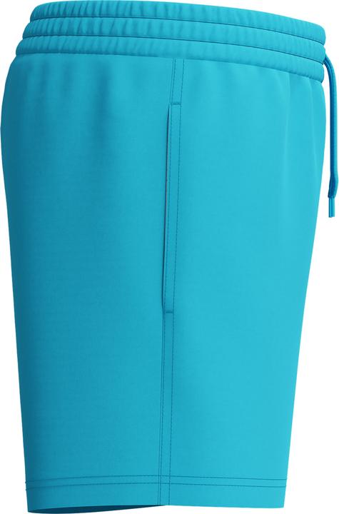 Produktbild Speedo Essentials 13" Watershort (L)