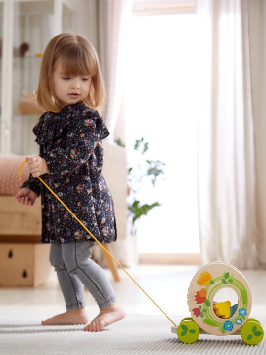 Actual product image Haba Pull-out figure flower meadow (MQ2) **
