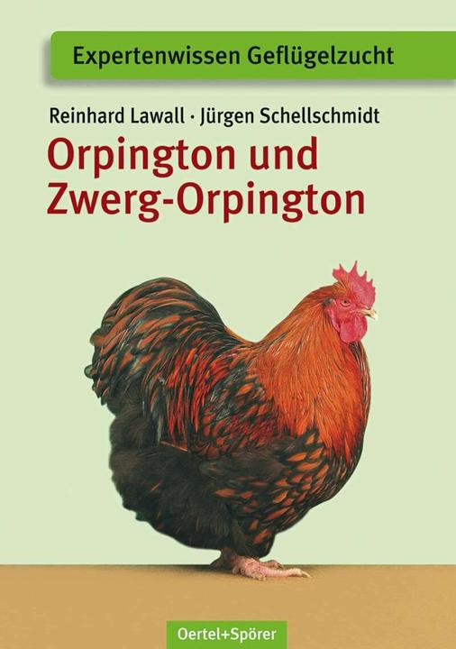 Produktbild Orpington und Zwerg-Orpington (Deutsch, Jürgen Schellschmidt, Reinhard Lawall, 2023)