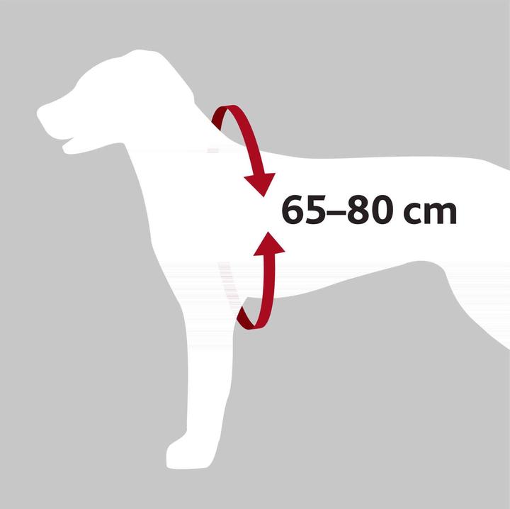 Actual product image Trixie Car Harness Dog Protect (Dog, Washable, Reflectors)
