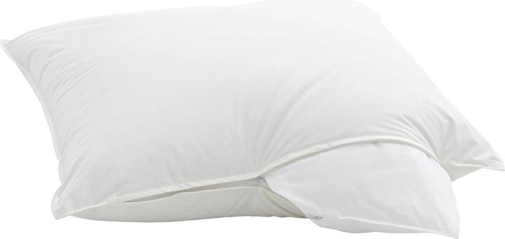 Actual product image Billerbeck Casa Nature (65 x 65 cm)