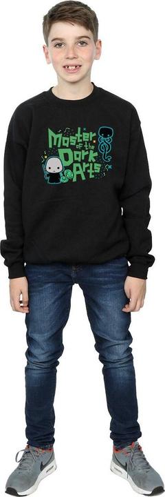 Immagine prodotto Voldemort Dark Arts Junior Felpa Ragazzi (116)