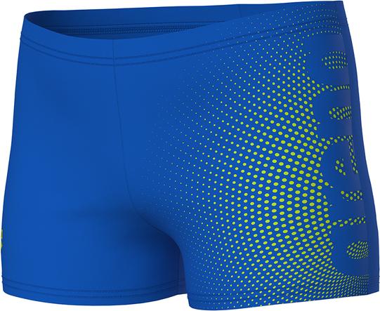 Image du produit Arena B Dim Light Swim Short (164)