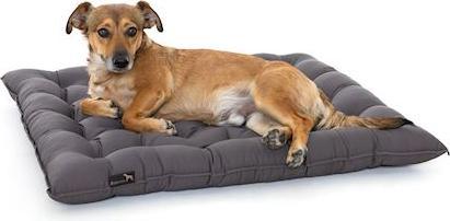 Produktbild Pointer Hundekissen Urban (Hund)