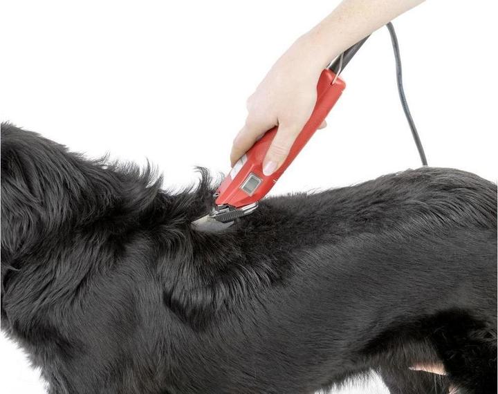 Produktbild Kerbl Schermaschine Favorita Speed 230 V (Hund)