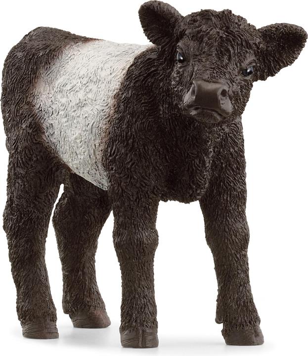 Image du produit Schleich Veau Galloway