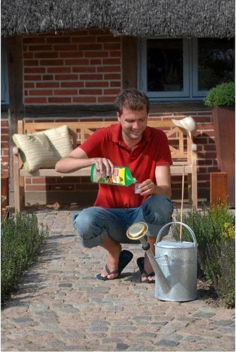 Produktbild Neudorff Grünweg gegen Algen und Grünbeläge (Moose und Algen)