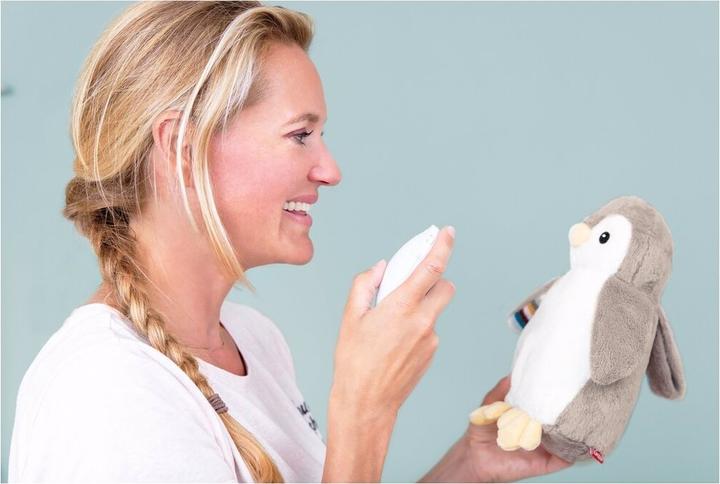 Produktbild ZaZu Babyschlafhilfe Phoebe