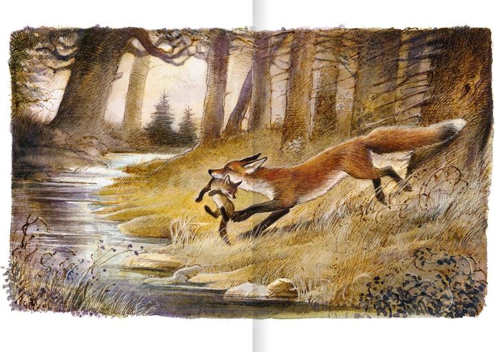 Immagine prodotto Der Findefuchs (Tedesco, Irina Korshunov, 2021)