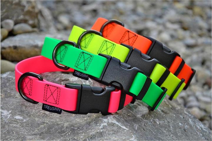 Immagine prodotto Treusinn. Collare per cani Biothane STAY (Cane, Generale)