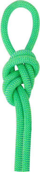 Salewa Speed Queen 9.1 climbing rope (80 m)