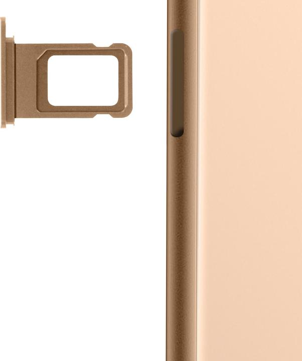 Image du produit Clappio Support Sim de rechange pour iPhone 11 Pro (Support de carte SIM, iPhone 11 Pro Max)