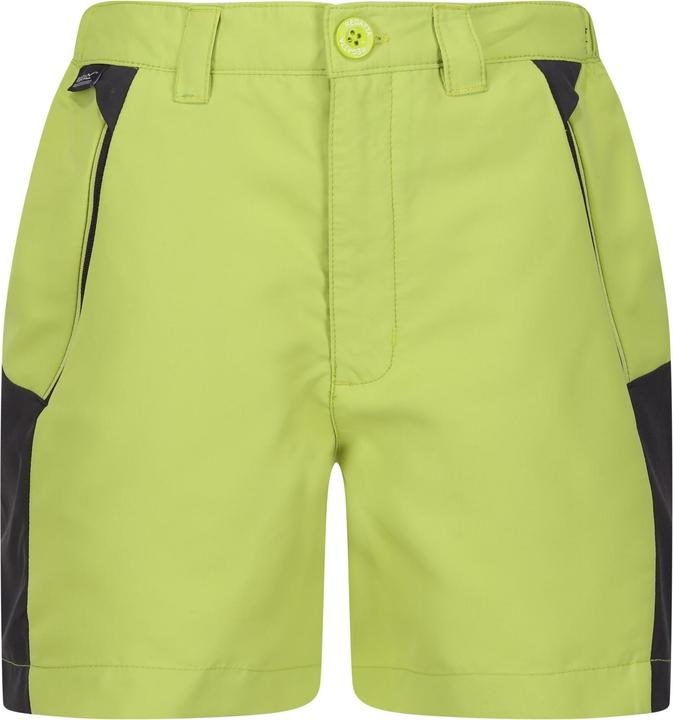 Produktbild Regatta Sorcer Mountain III Shorts (170, 176)