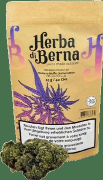 Herba di Berna Muffin aux myrtilles à l'extérieur 45g (45 g, Extérieur)