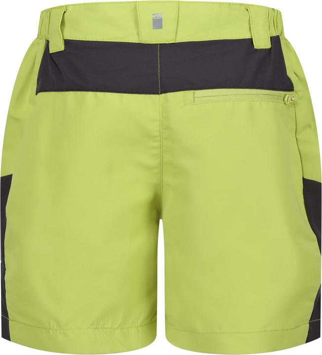 Produktbild Regatta Sorcer Mountain III Shorts (170, 176)