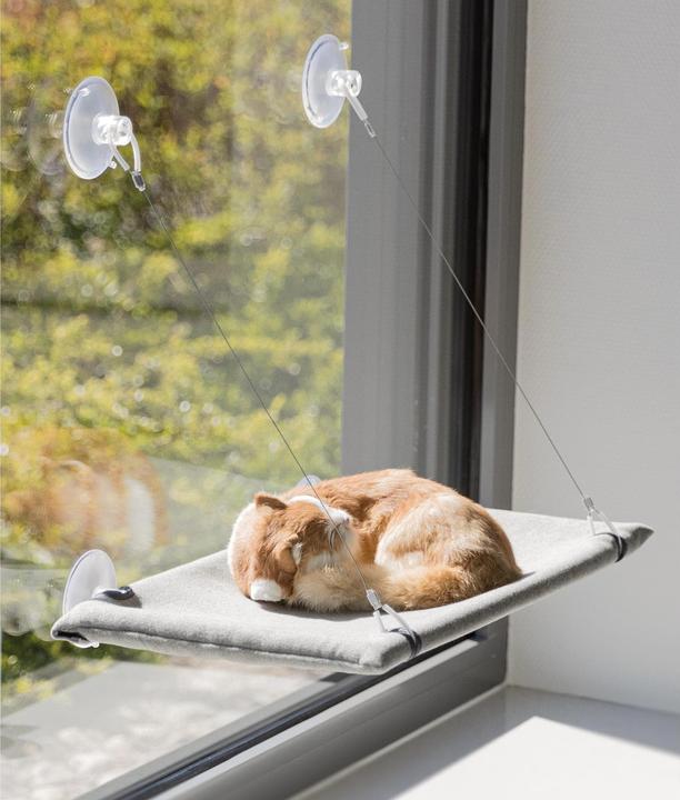 Produktbild Trixie Liegeplatz für Fensterscheibe (Katze)
