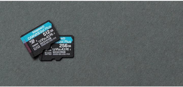 Image du produit Kingston Canvas Go! Plus microSD (256 Go, microSDXC, U3, UHS-I)