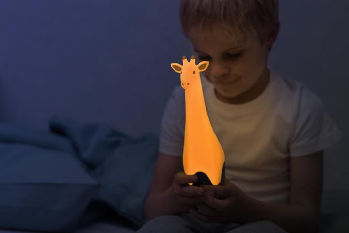 Image du produit ZaZu Bonne nuit, mon ami