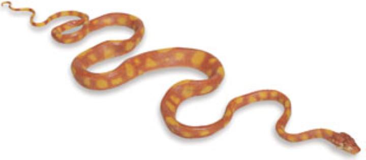 Produktbild Safari Ic Amazon Tree Boa Schlange