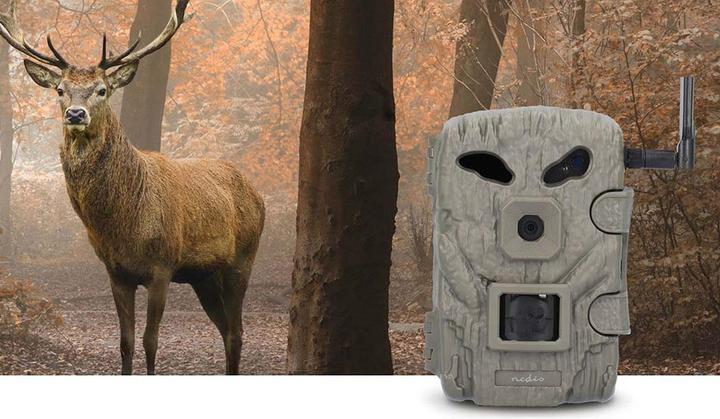Actual product image Nedis Wildcamera - 1080p@30fps - 30.0 MPixel - 2 MPixel CMOS - IP66 - Zwart No-Glow IR - Nachtzicht - Kijk