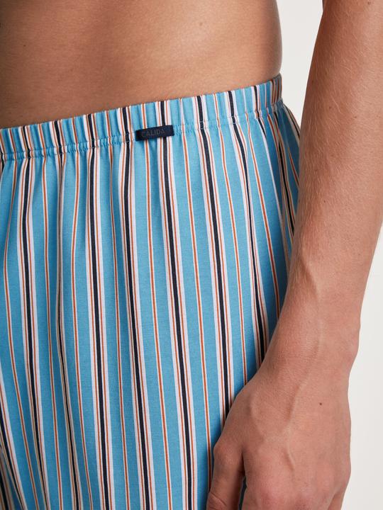 Immagine prodotto Calida Cotton Special (L, Confezione da 2)