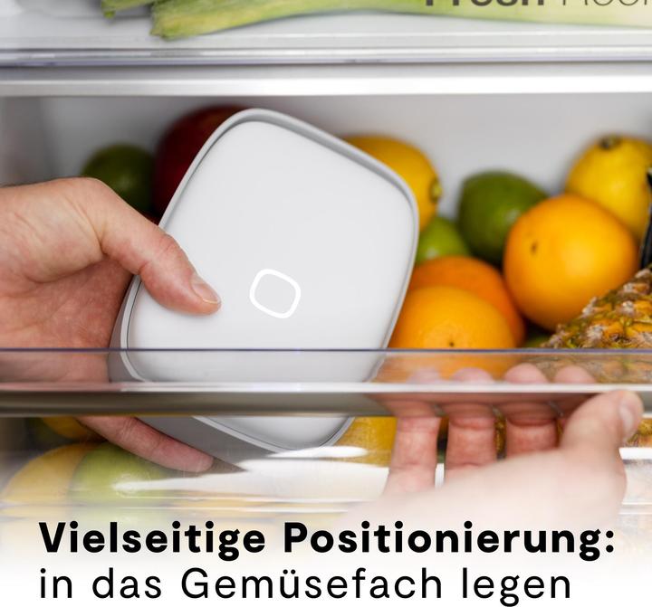Actual product image Vitesy Shelfy