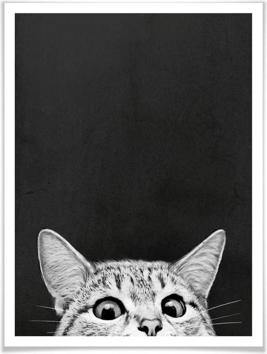 Image du produit Trenddeko Graves - Are you asleep yet (30 x 40 cm)